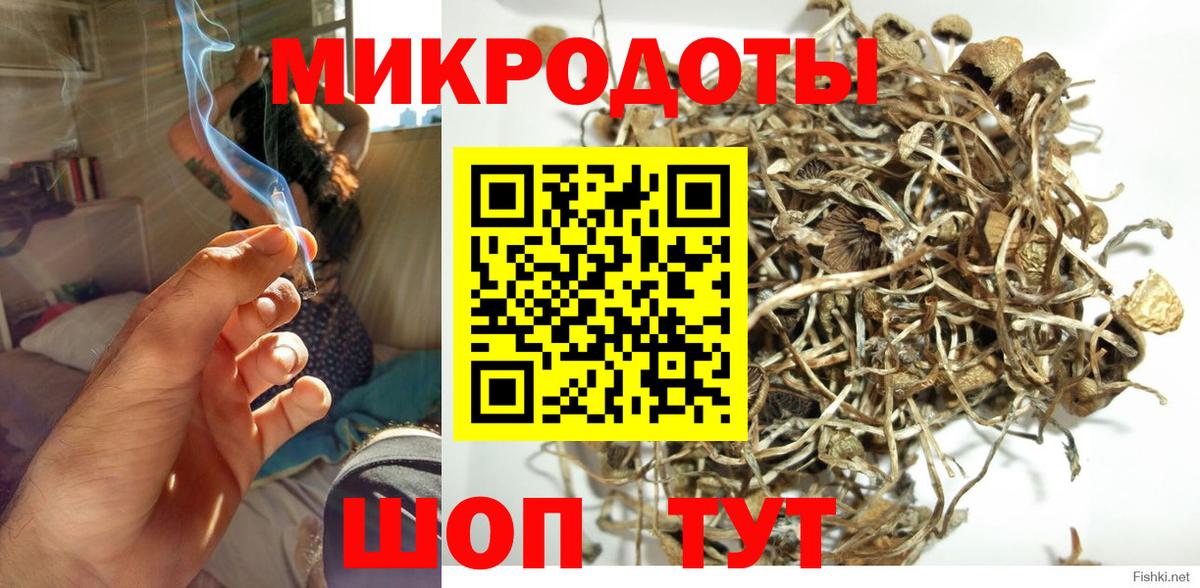 Георгиевск  Псилоцибиновые грибы прущие грибы  Псилоцибиновые грибы GOLDEN TEACHER  Вход с VPN 
