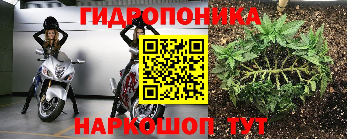Конопля Bruce Banner Георгиевск